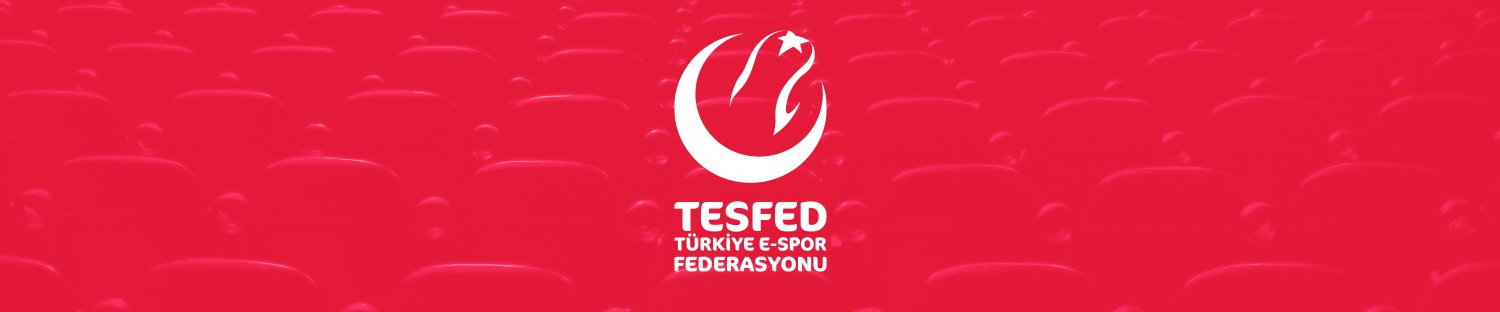 Turkish E-Sports Federation
