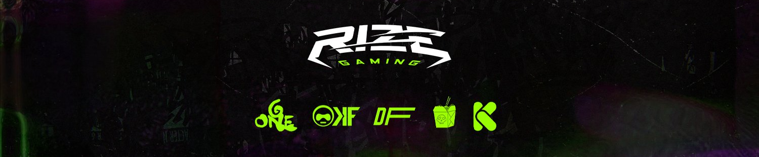Rize Gaming Pro